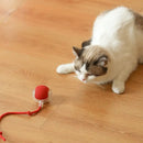 FurBall Frenzy – A Bola Automática que Revitaliza seu Pet