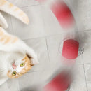 FurBall Frenzy – A Bola Automática que Revitaliza seu Pet