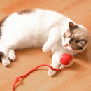 FurBall Frenzy – A Bola Automática que Revitaliza seu Pet